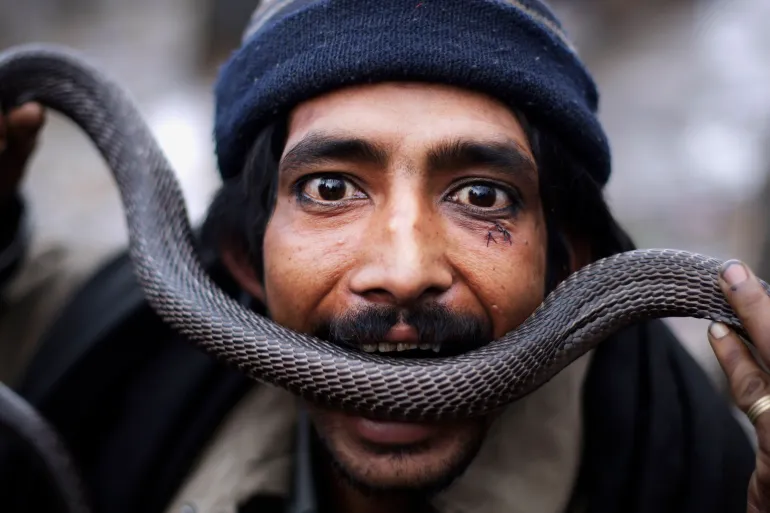 Snakebites are on the rise in South Asia